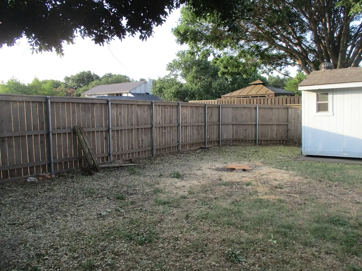 Cleared yard after professional tree removal in Coal City