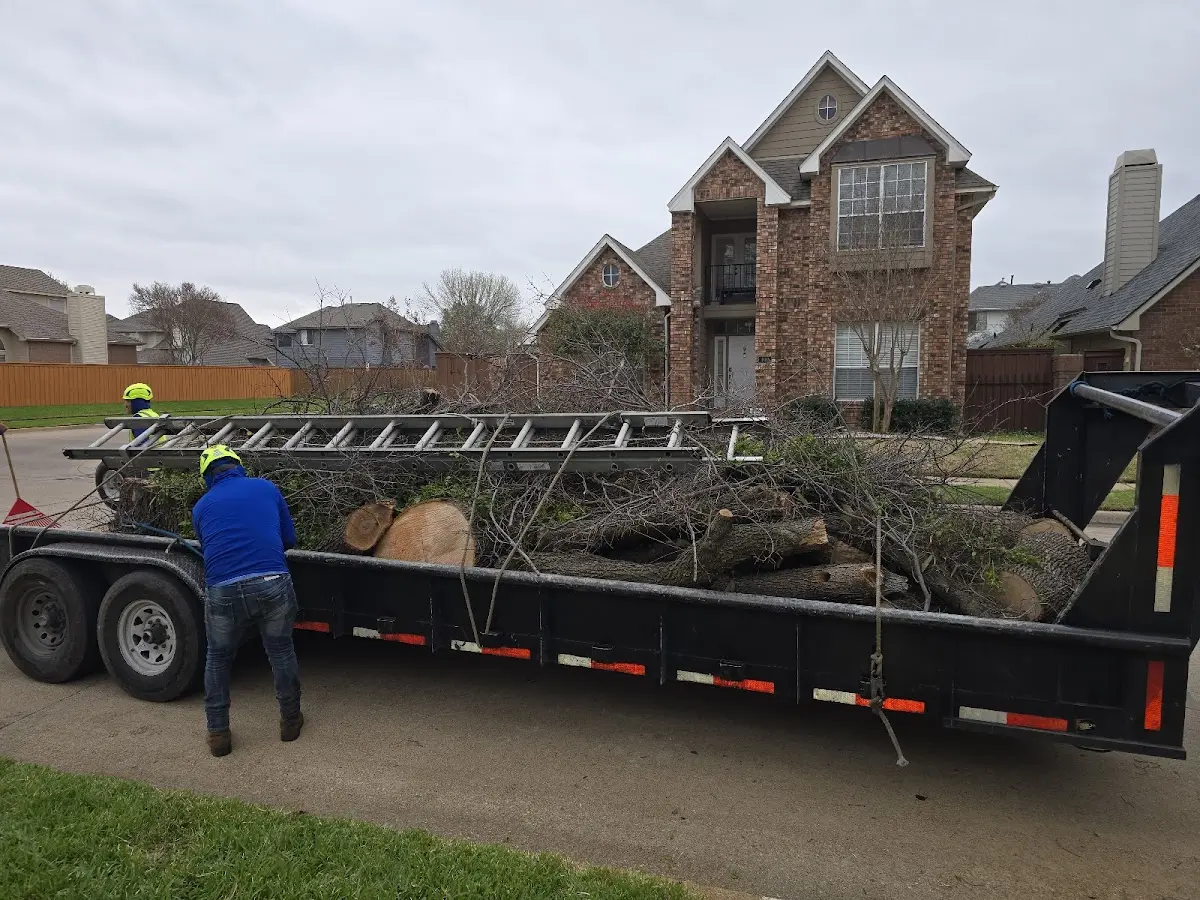 Expert Tree Pest Control with proper safety equipment in Coal City